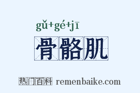 骨骼肌是什么意思的图片